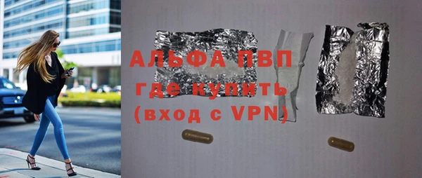 твердый Бородино