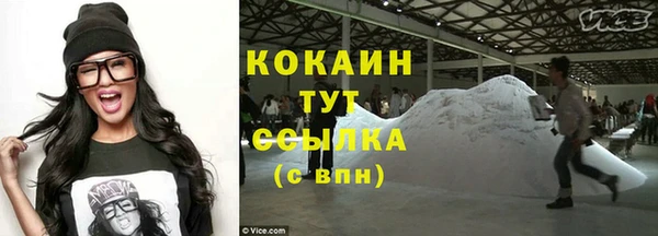 твердый Бородино