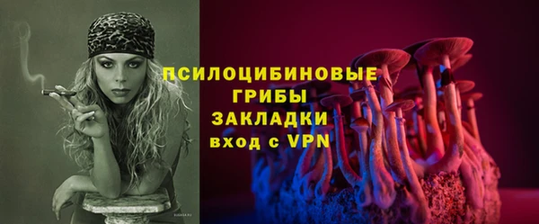 твердый Бородино