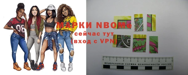 хмурый Богородицк