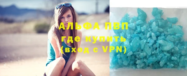 твердый Бородино