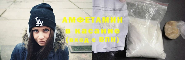 твердый Бородино