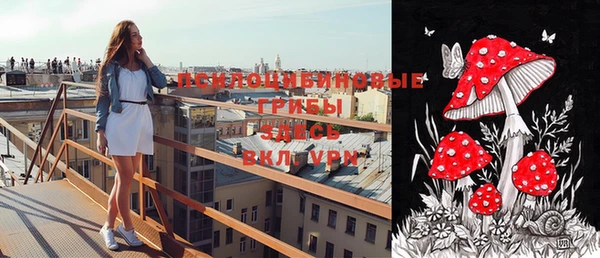 дмт Бронницы