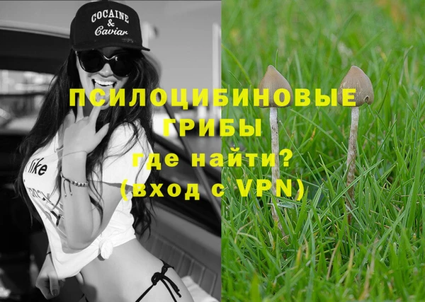 дмт Бронницы