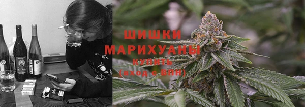 твердый Бородино