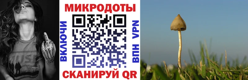 где купить наркотик  Дегтярск  Галлюциногенные грибы Psilocybine cubensis 